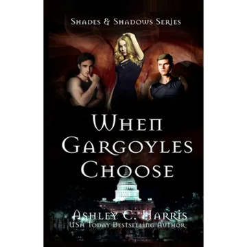 When Gargoyles Choose - Paperback