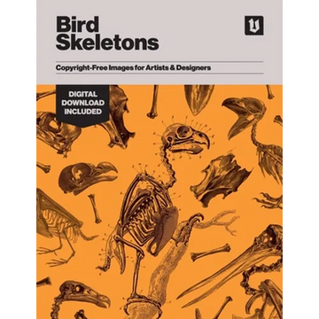 Bird Skeletons: Copyright-Free Images for Artists & Designers - Paperback