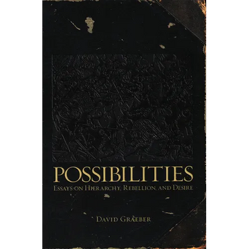 Possibilities: Essays on Hierarchy, Rebellion, and Desire - Paperback