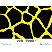 Look - Book 4: VI - Paperback