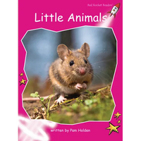 Little Animals - Paperback