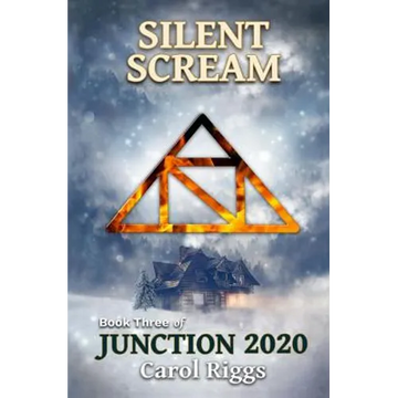 Junction 2020: Book Three: Silent Scream - Paperback