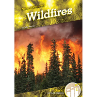 Wildfires - Library Binding