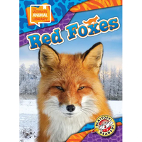 Red Foxes - Library Binding