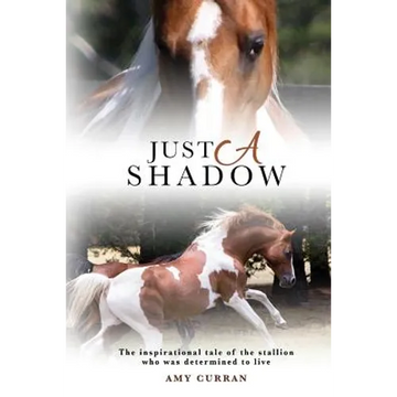 Just A Shadow - Paperback