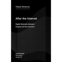After the Internet: Digital Networks Between Capital and the Common - Paperback
