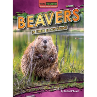 Beavers in Their Ecosystems - Library Binding