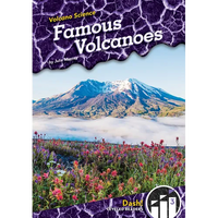 Famous Volcanoes - Library Binding