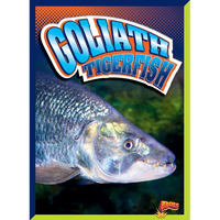 Goliath Tigerfish - Hardcover