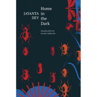 Home in the Dark: Selected Stories - Hardcover