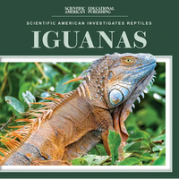 Iguanas - Paperback