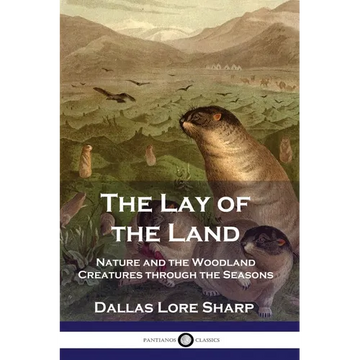The Lay of the Land: Nature and the Woodland Creatures through the Seasons - Paperback
