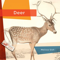 Deer - Paperback