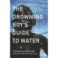 The Drowning Boy's Guide to Water - Paperback
