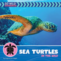 Sea Turtles in the Wild - Library Binding