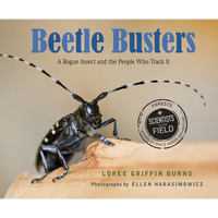 Beetle Busters: A Rogue Insect and the People Who Track It - Hardcover