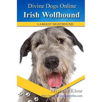 Irish Wolfhound - Paperback