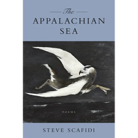 The Appalachian Sea: Poems - Paperback