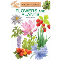 Flowers and Plants - Library Binding