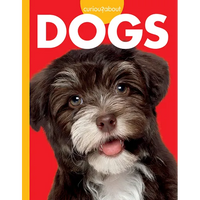 Curious about Dogs - Paperback