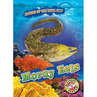 Moray Eels - Library Binding