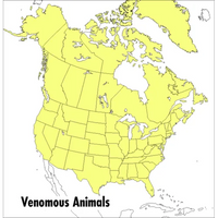 A Peterson Field Guide to Venomous Animals and Poisonous Plants: North America North of Mexico - Paperback
