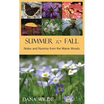 Summer to Fall - Paperback