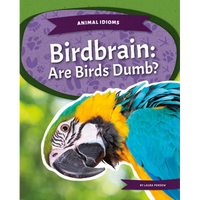Birdbrain: Are Birds Dumb?: Are Birds Dumb? - Library Binding