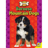 Bernese Mountain Dogs - Paperback