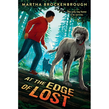 At the Edge of Lost - Hardcover