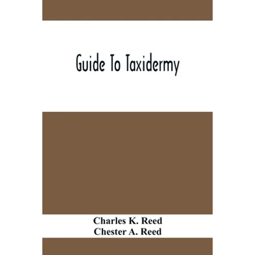 Guide To Taxidermy