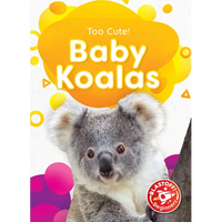 Baby Koalas - Library Binding