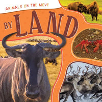 By Land - Library Binding