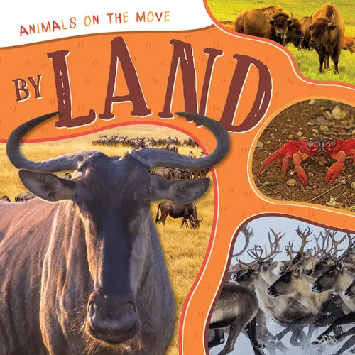 By Land