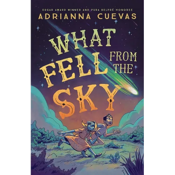 What Fell from the Sky - Paperback