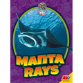 Manta Rays