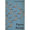 Pigeon Racing