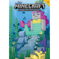 Stories from the Overworld #3 - Library Binding