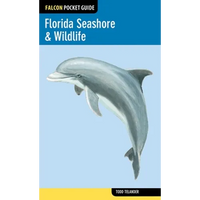 Florida Seashore & Wildlife - Paperback