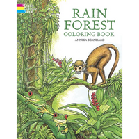 Rain Forest Coloring Book - Paperback