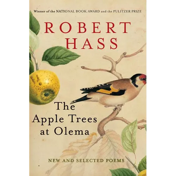 The Apple Trees at Olema - Paperback