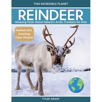 Reindeer: Amazing Facts About Nature's Arctic Travelers for Kids - Paperback