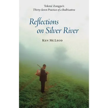 Reflections on Silver River - Paperback