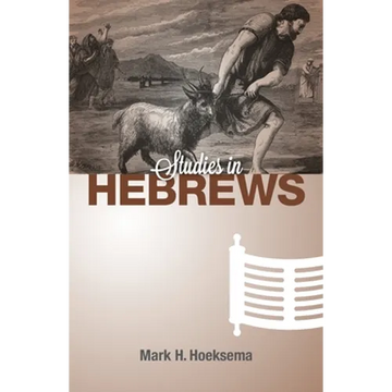 Studies in Hebrews - Paperback