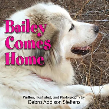 Bailey Comes Home - Paperback