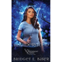 misUnderstood - Paperback