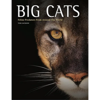 Big Cats: Feline Predators from Around the World - Hardcover