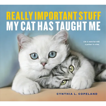 Really Important Stuff My Cat Has Taught Me - Paperback
