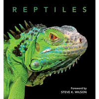 Reptiles - Hardcover