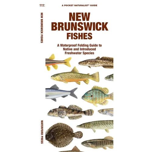 New Brunswick Fishes: A Folding Guide to Native and Introduced Freshwater Species